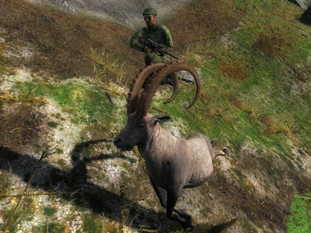 TOP 5 Alpine Ibex // Ibex Alpino 0b452830dfd4050f39c3909bca285905ab51cb95