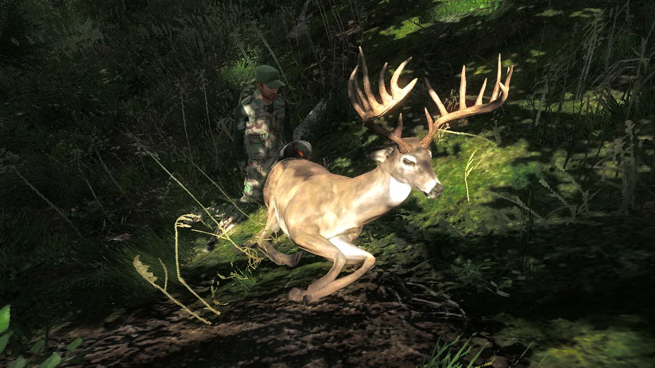 TOP 5 Whitetail // Ciervo Colablanca (Typical) 206f5427fd4f77691662d6d3bfaf664815948b47