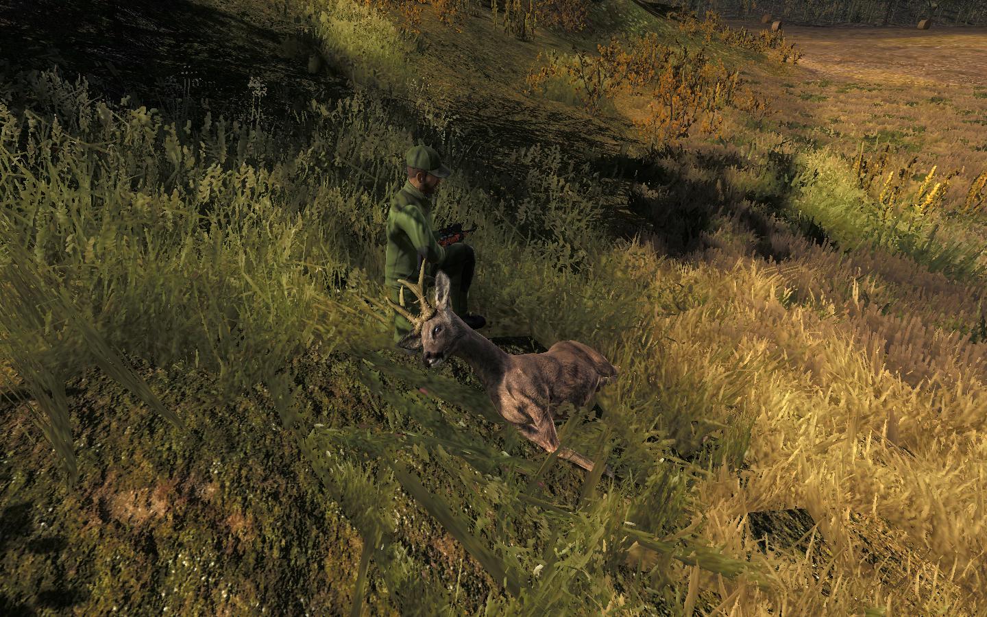 TOP 5 Roe Deer // Corzo - Página 2 21651f950f624c1c68a633ff0e84a94e9ce28063