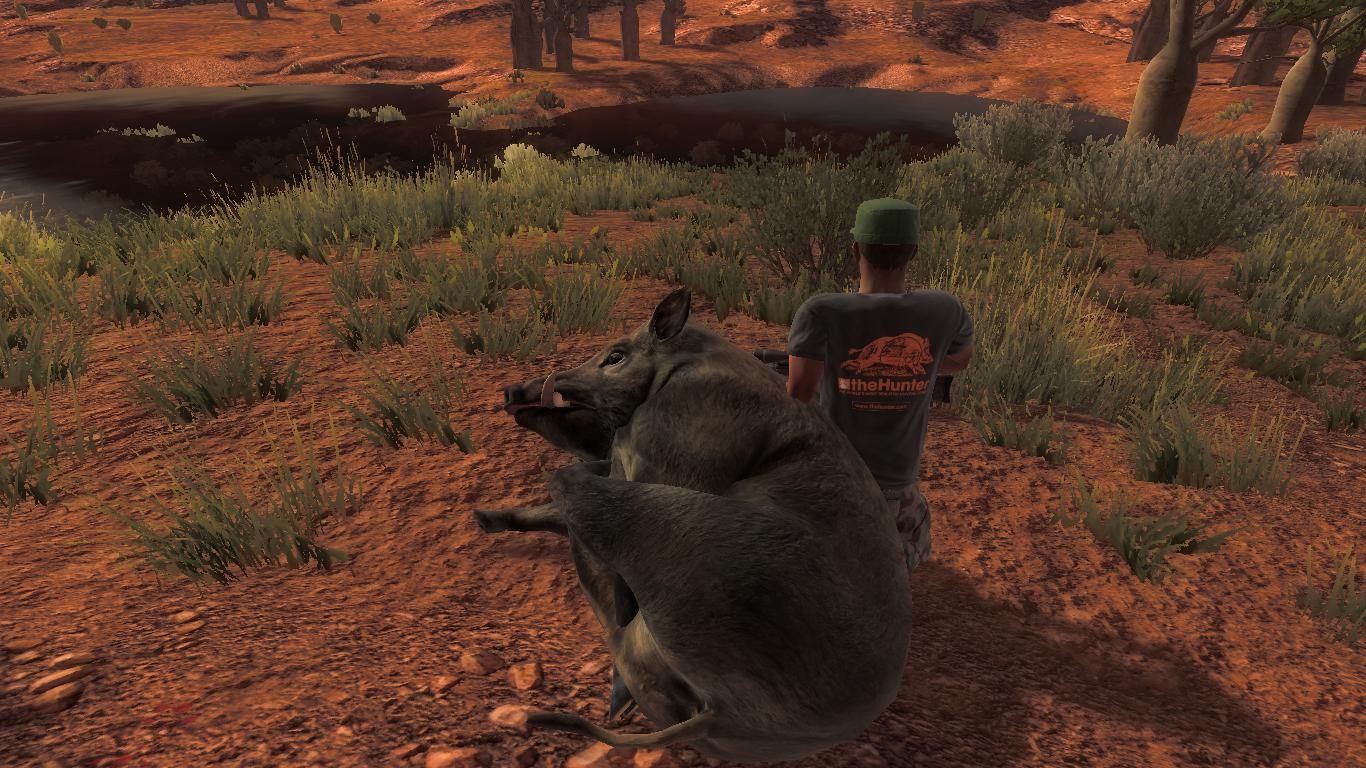 TOP 5 Feral Hog // Cerdo Salvaje 29cbe2d1f7b0fb2099e929bd3c0901404f8d0821