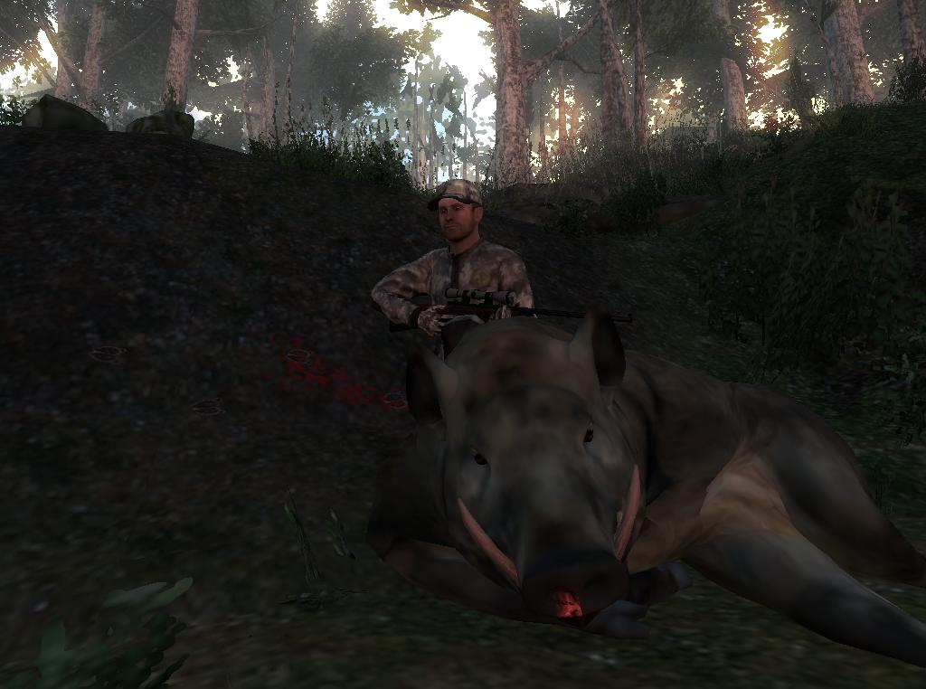 TOP 5 Feral Hog // Cerdo Salvaje  320940e73ee7b443d18ace02d19058a17b0f6141