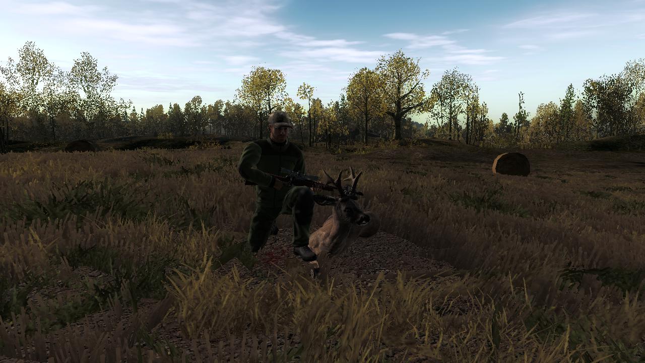 TOP 5 Roe Deer // Corzo 365989e79902e6bf34e00d344d27c5261ca38b24