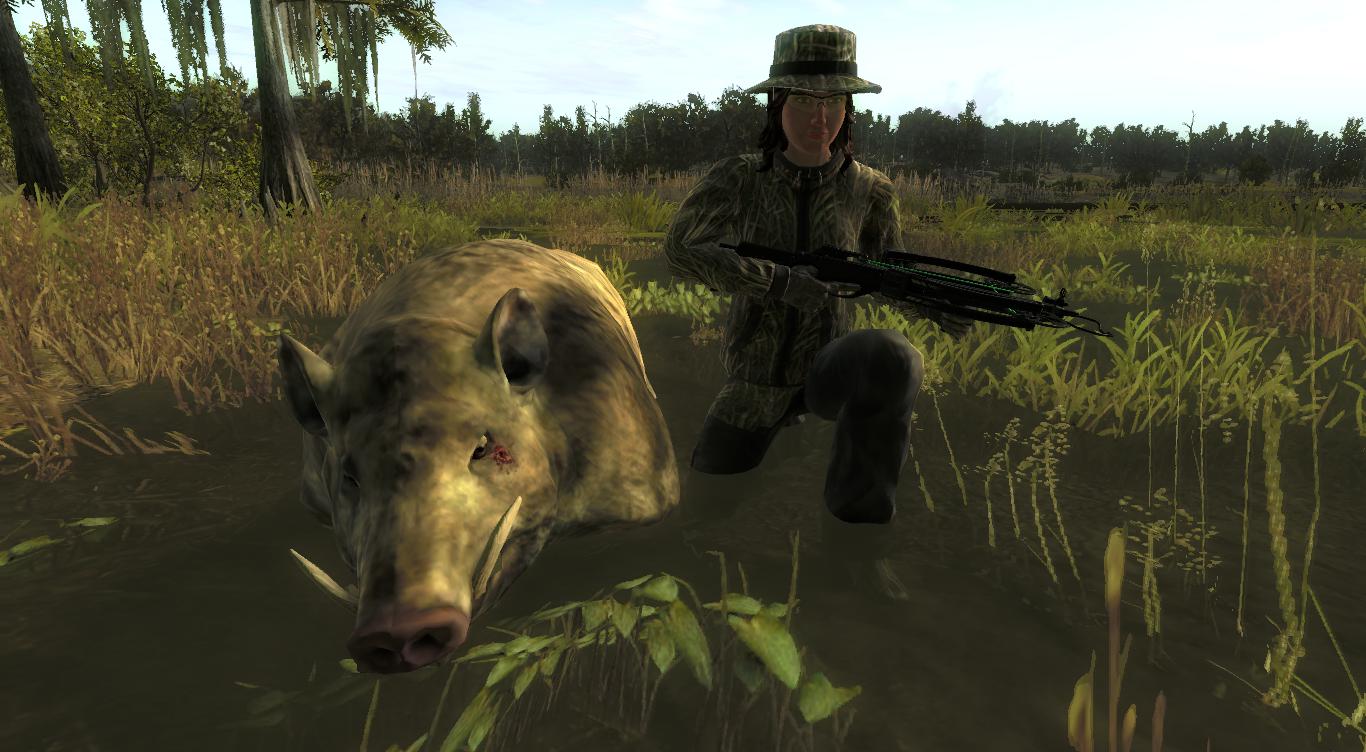 TOP 5 Feral Hog // Cerdo Salvaje 4508e74d3d1b728773696d2865533884aa698220