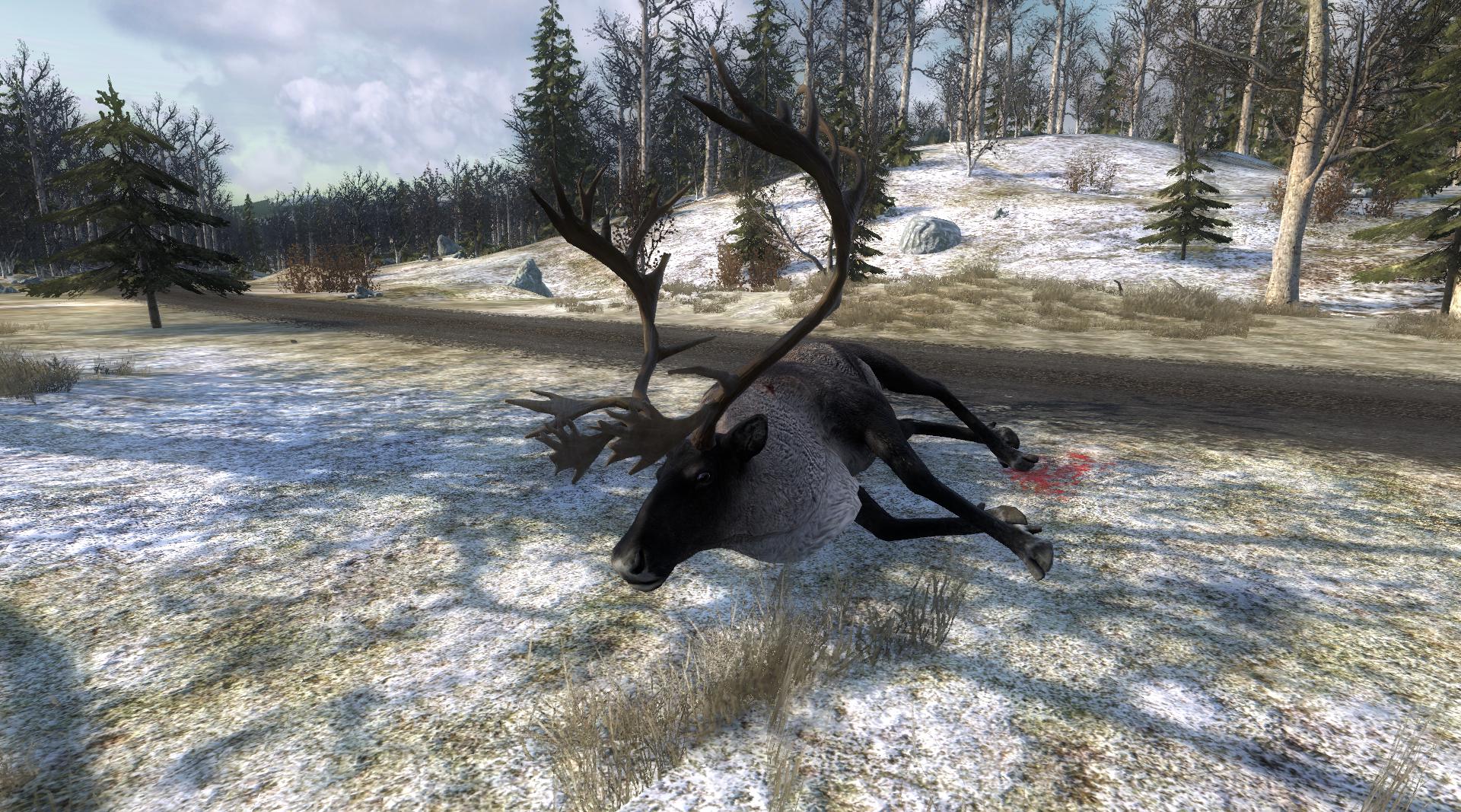 TOP 5 Reindeer // Reno 5b1bf1a09ea3cd7dca65e861810b618dec21ffd2