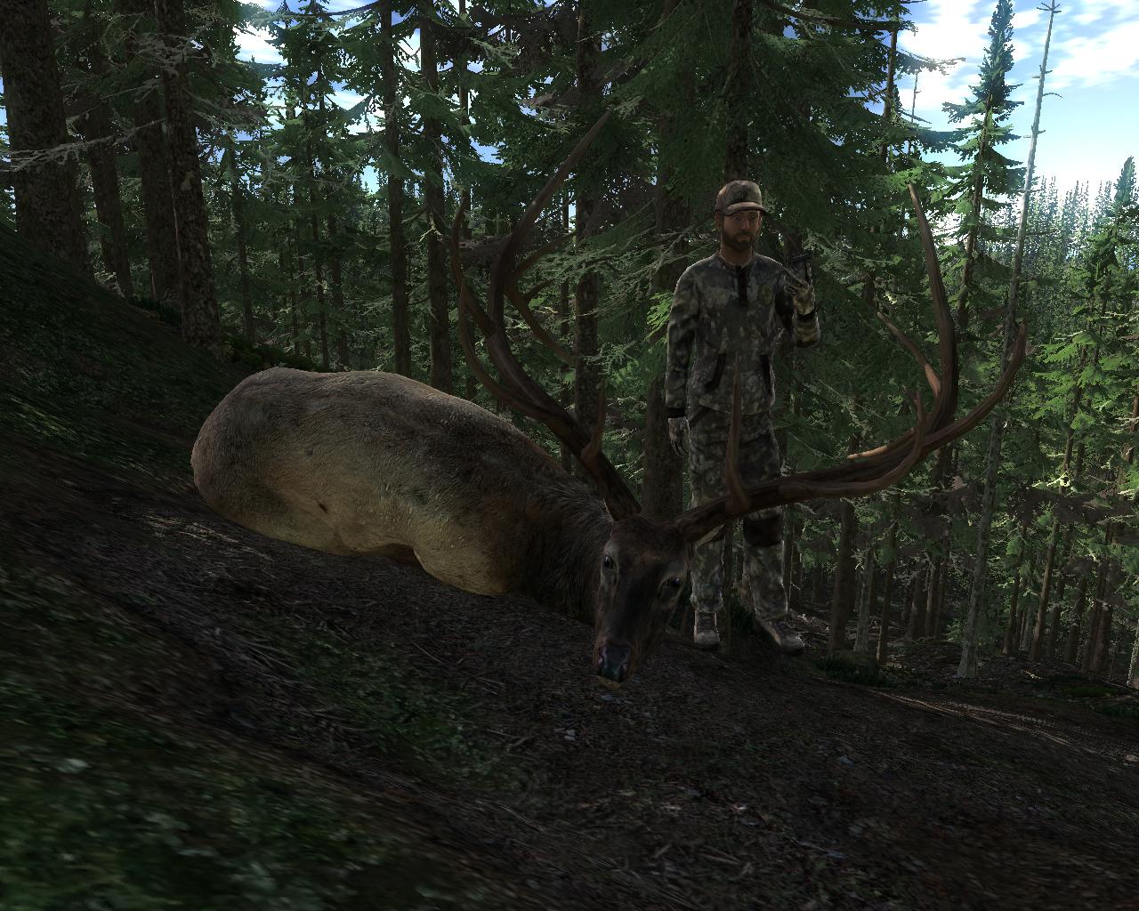 TOP 5 Elk // Wapiti  5b625d4c5bbdba1fc858c4810e697440d89ef40f