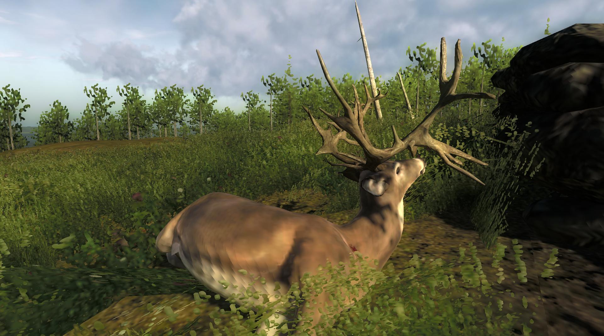 TOP 5 Whitetail // Ciervo Colablanca (Non-Typical) 665f0037dd7c18b77c424892384adbaba1f49ea5