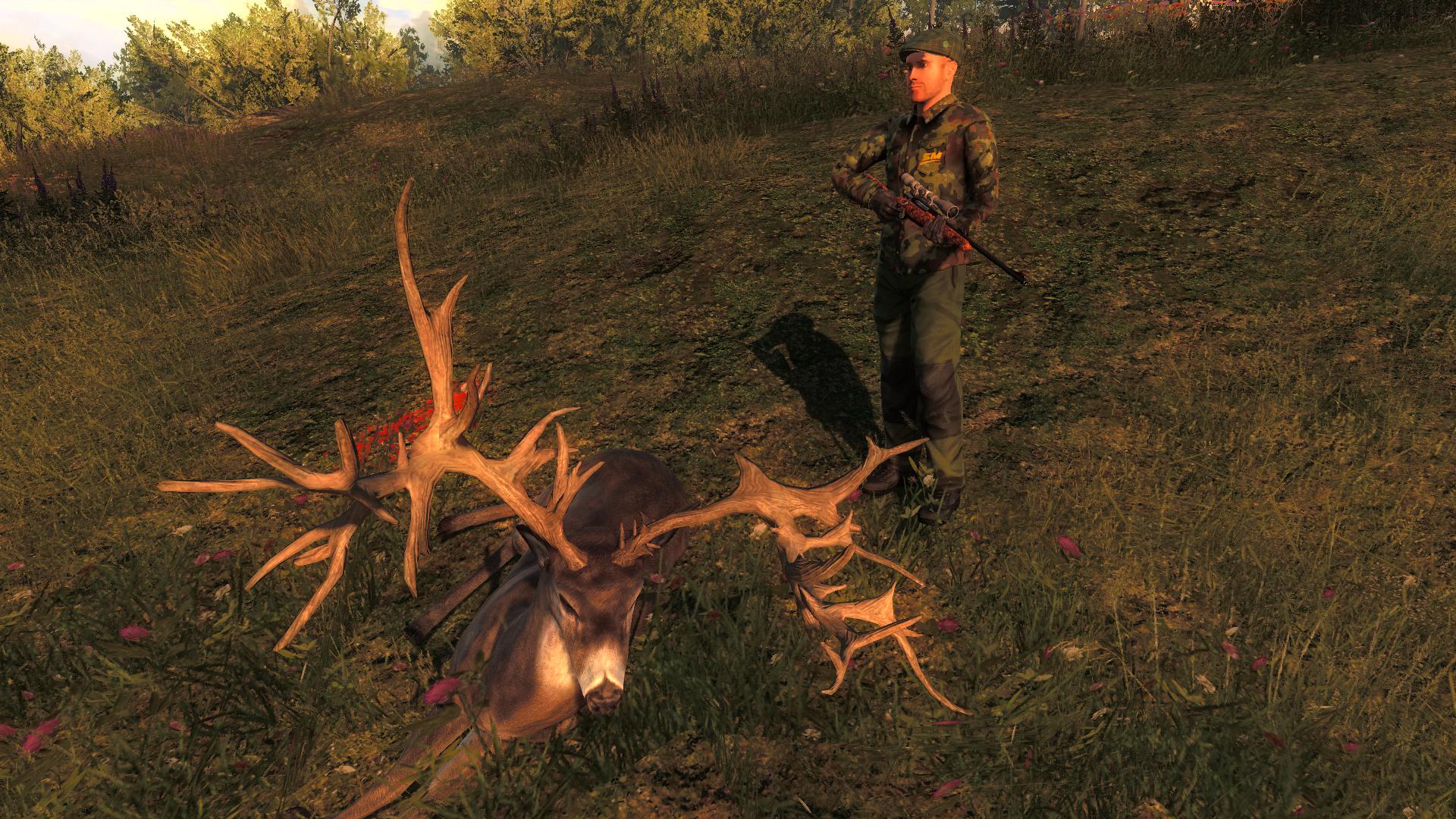 TOP 5 Whitetail // Ciervo Colablanca (Non-Typical) 7735365b52597135bcdac0d2ead58ba3c807600b