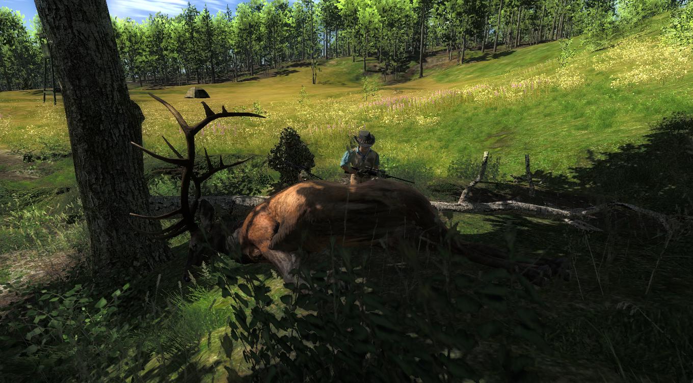 TOP 5 Elk // Wapiti 87ac1d5a22543ce00c41384e3f1fd64200543fd2