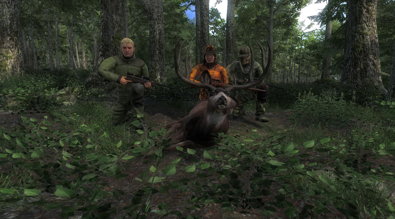 TOP 5 Blacktail // Ciervo Colanegra (Typical) 8b7b26d40ac4faf5ca3ff834ac62ed899f53e0ef