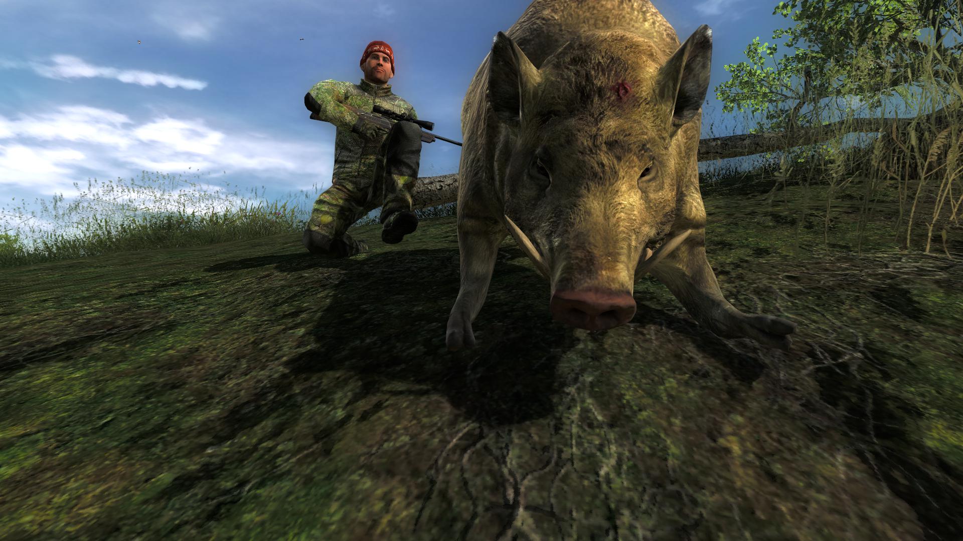 TOP 5 Feral Hog // Cerdo Salvaje 94c0faf1dd9df75962595b9460699fde1c925fb2