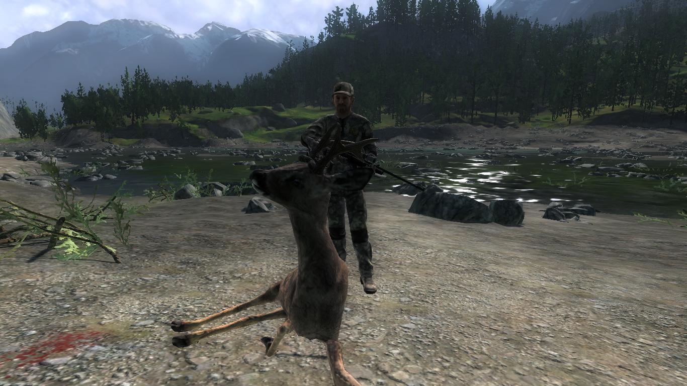 TOP 5 Roe Deer // Corzo Bd7ae6e500043d8d0c3f4e401f4d049edcfd4ba2