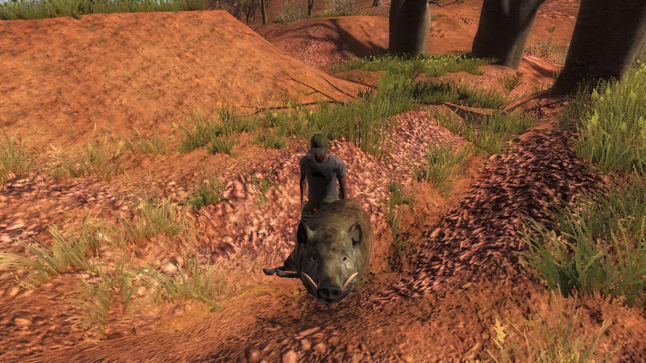 TOP 5 Feral Hog // Cerdo Salvaje D7fb1e741c66d0b1d99c9564b36dbb82d4e14d21