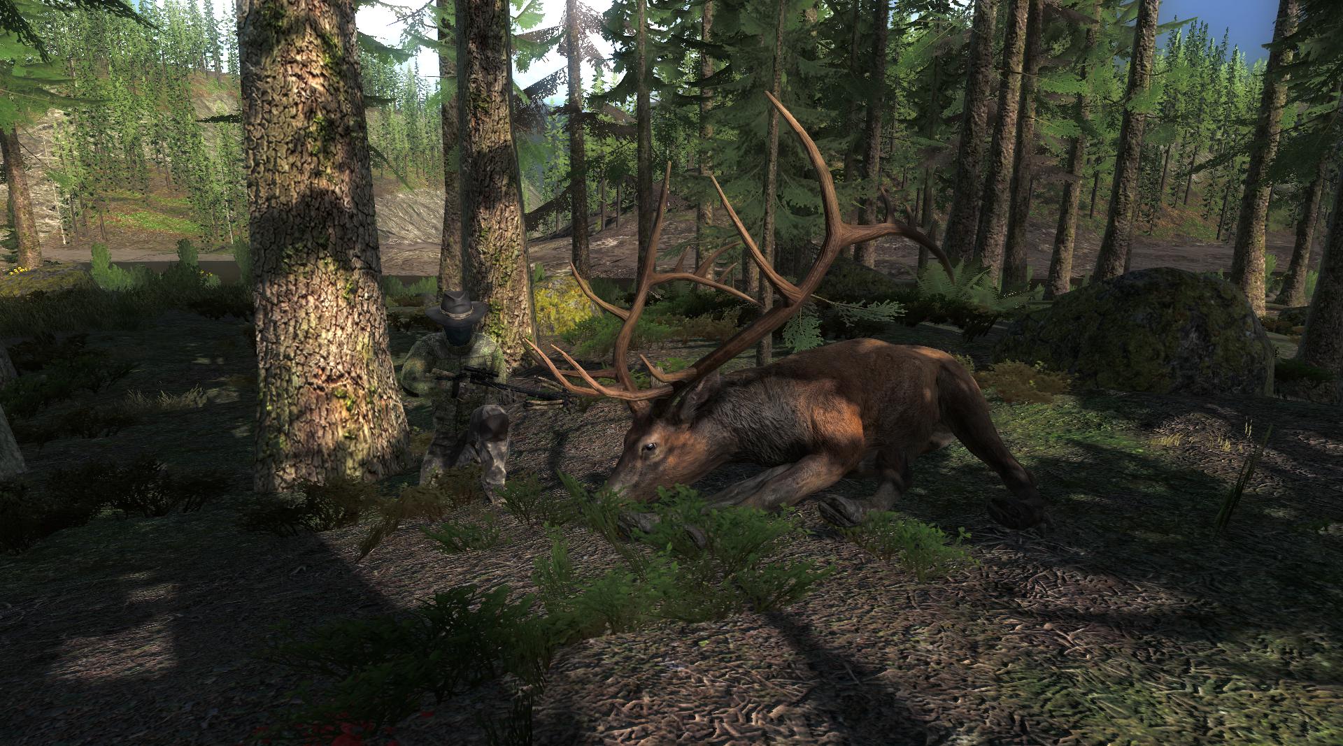 TOP 5 Roosevelt Elk // Wapiti de Roosevelt - Página 2 Db1c4b17da123203188929df11ff535d4aeb4668