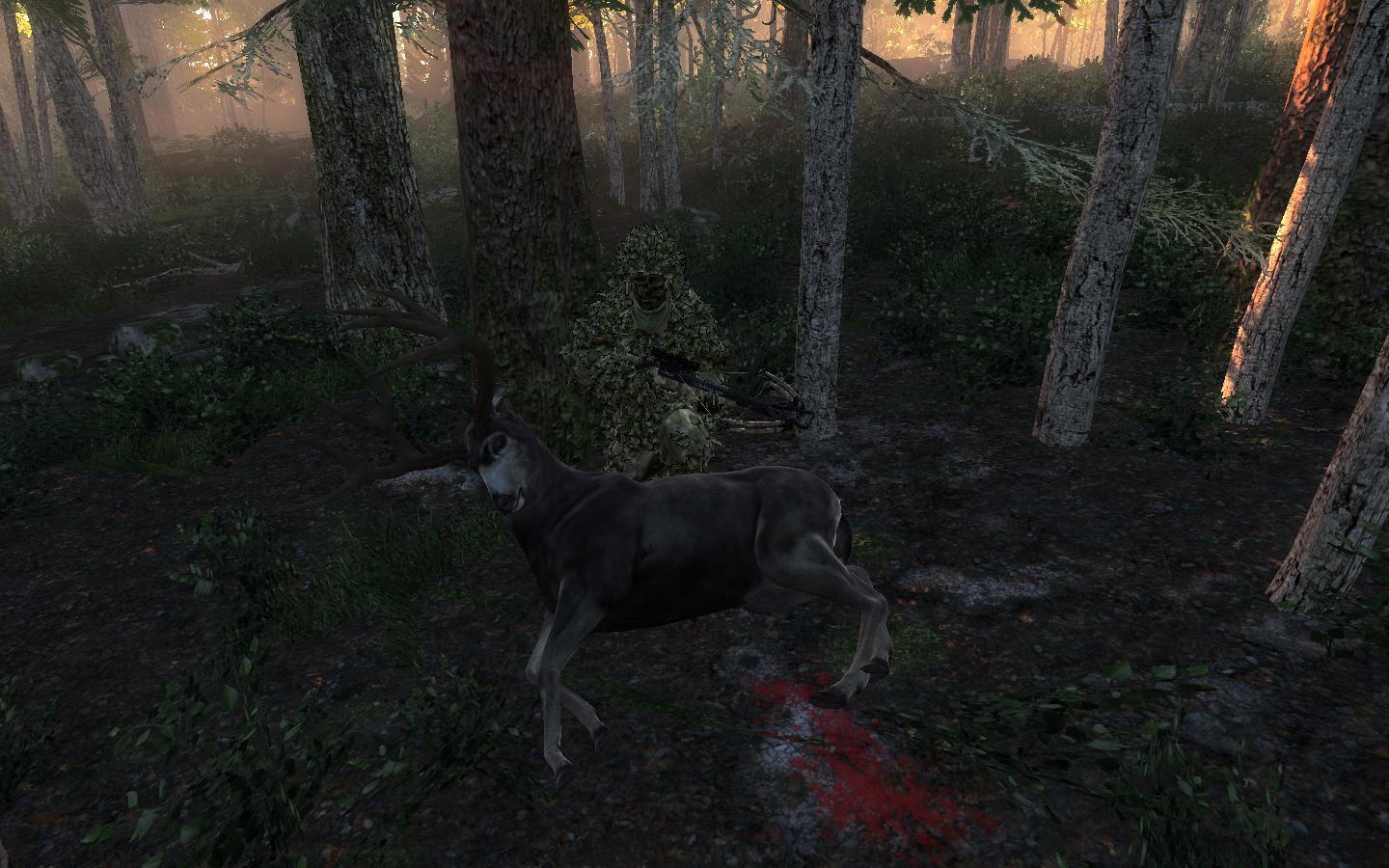 TOP 5 Blacktail // Ciervo Colanegra (Typical) E14deba4b140ba5c8ef3c5ec1a4a436beda7c237