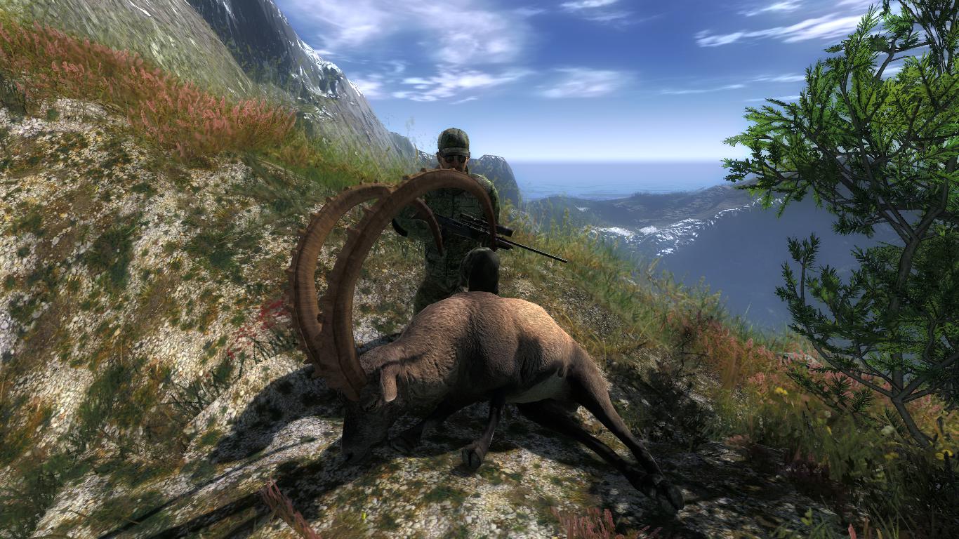 TOP 5 Alpine Ibex // Ibex Alpino Eaa0488e4b5451c0c36b3c67ad38a2ec7726147f