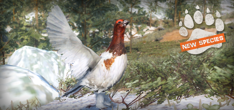 Ya tenemos perdiz de la tundra SplashScreen_ptarmigan_willow